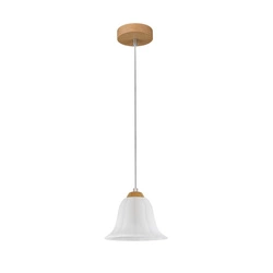 Anna Pendant Lamp 1xE27 Max.60W Oiled Oak/Transparent PVC Cable/White Glass 17940174