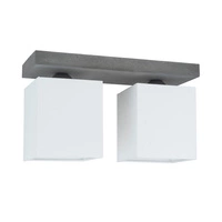 Great Ceiling Lamp 2xE27 Max.25W Gray/White 2241236