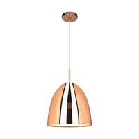 Mads Pendant Lamp 1xE27 Max.60W Copper Metal/Transparent PVC Cable 1621113