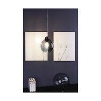 Canberra Pendant Lamp 1xE27 Max.60W Black Metal/Transparent PVC Cable/Smoked Glass 5500054