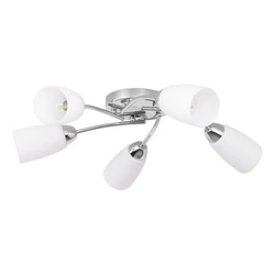 Terni Ceiling Lamp 5xE14 Max.40W Chrome Metal/White Glass 8330528