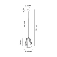 Swan Pendant Lamp 1xE27 Max.60W Oiled Oak/Black Metal/Black PVC Cable 19319104