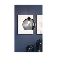 Canberra Pendant Lamp 1xE27 Max.60W Black Metal/Transparent PVC Cable/Smoked Glass 5500055