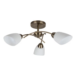 Viletta Ceiling Lamp 3xE27 Max.60W Patina Metal/White Glass 8141311