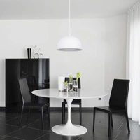 Ray Pendant Lamp Incl. 1xLED Integrated 800lm 3000K 10W White Metal 3050102