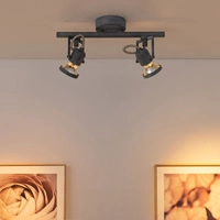 Concreto Ceiling Lamp 2xGU10 Max.50W Gray Concrete 2727232