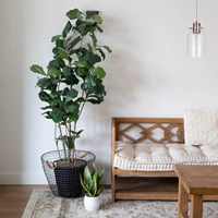 Alessandro Pendant Lamp 1xE27 Max.60W Copper Metal/Transparent PVC Cable/Transparent Glass 1760113