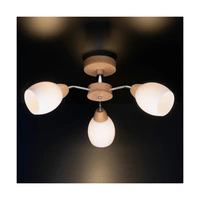 Parma Wood Ceiling Lamp 3xE27 Max.60W Oiled Oak/Chrome Metal/White Glass 8320374