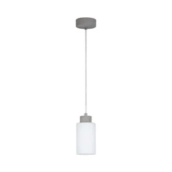 Karla Pendant Lamp 1xE27 Max.60W Gray/Transparent/Matte White