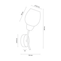 Parma Wood Wall Lamp 1xE27 Max.60W Walnut Beech Wood/Chrome Metal/White Glass 8320176