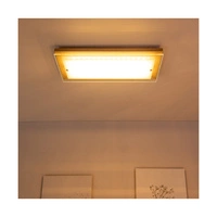 Finn Wall Lamp 1xLED Integrated 2100lm 2700K 24W Oiled Oak/White-Transparent Glass 4032974