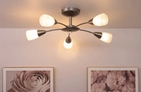 Oriana Ceiling Lamp 5xE14 Max.40W Satin Metal/White Glass 9031527