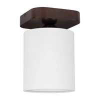 Jenta Lampa Sufitowa 1xE27 Max.25W Orzech/Biały 8512176